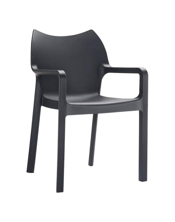 Zara Indoor / Outdoor Dining Armchair - Black - Dining Chairs
